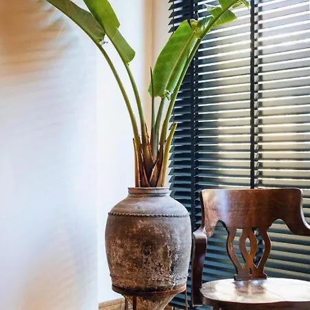 Üdülőközpont To Be Social House *